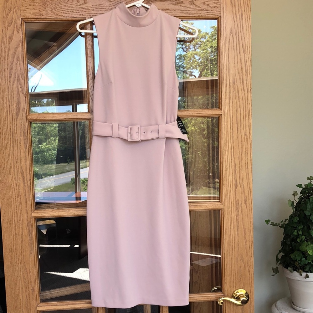 Express Light Pink Belted Dress